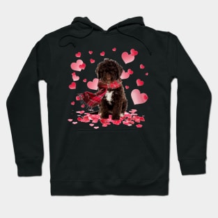 Spanish Water Dog Hearts Love Happy Valentine's Day Hoodie